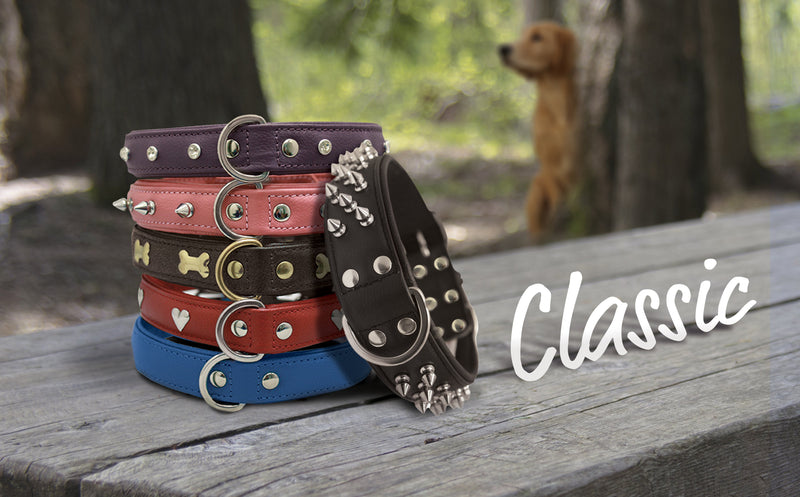 The Classic Collection