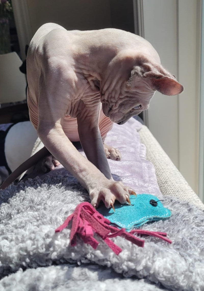 Playtime Natural Cat Toys