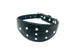 Leather Hound Rhinestone Dog Collar - Bling