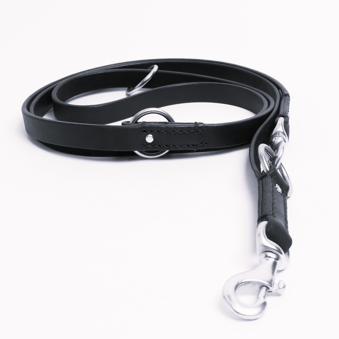 Multi use online dog leash