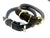 Oxford Rolled Leather Dog Collar