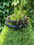 Oxford Rolled Leather Dog Collar