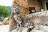 Alpine Cat Collars