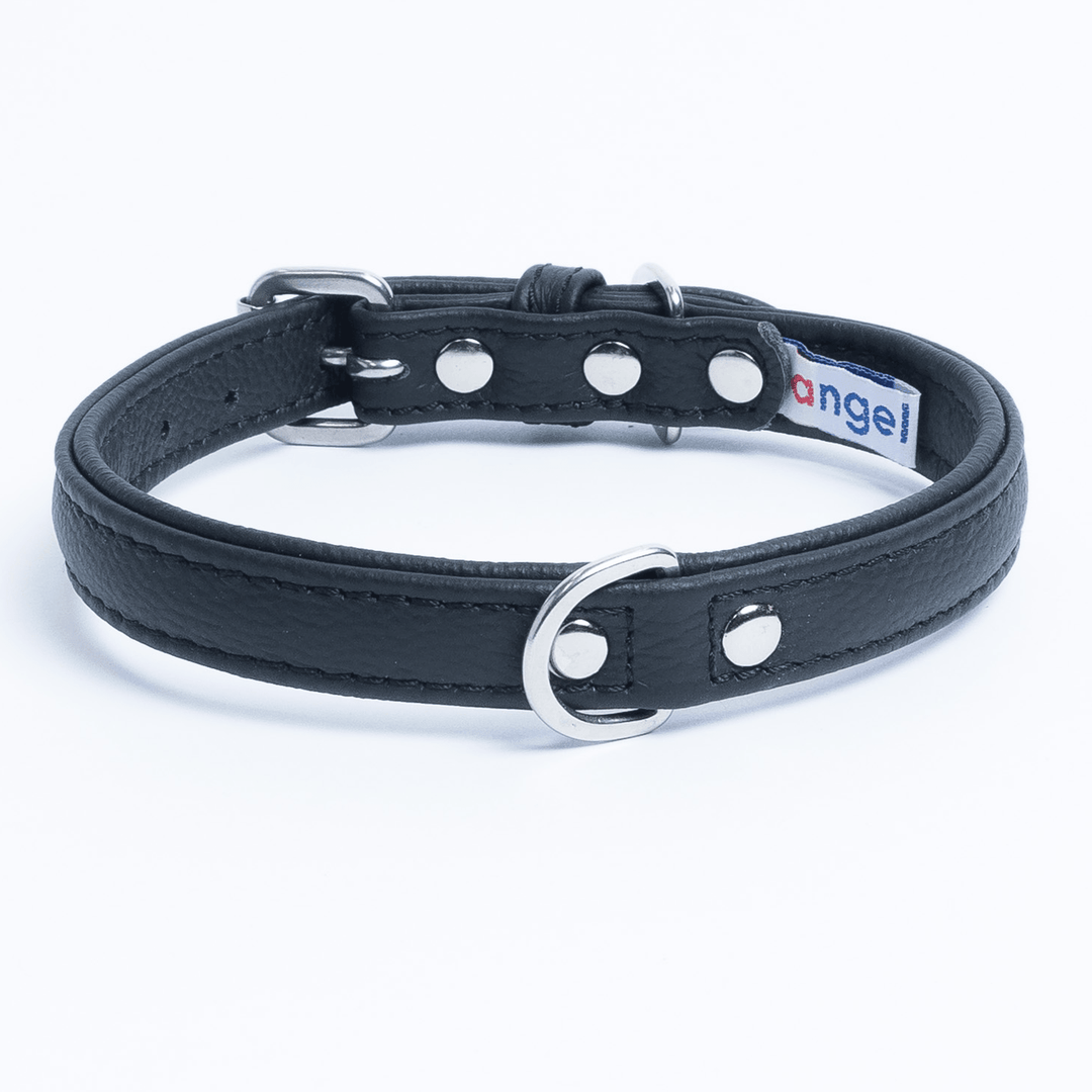 Alpine dog collars deals
